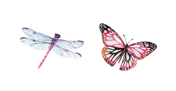 Akvarell trollslända och fjäril. Realistisk insektsmålning isolerad på vitt. Detaljerade vingar och lila kropp. Handmålade uppsättning sommarillustrationer — Stockfoto