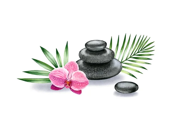 Watercolor arrangement of stones and orchid. Dark basalt pyramid with tropical flower and palm leaves. Spa and interior decor isolated on white background. — Stock Photo, Image