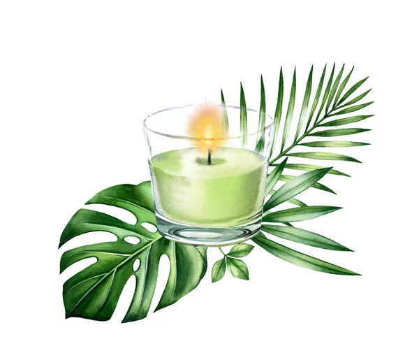 Acuarela arreglo de velas. Palmera verde y hojas de monstera. Pintura realista de vidrio. Spa y productos cosméticos aislados sobre fondo blanco. Ilustración detallada dibujada a mano —  Fotos de Stock