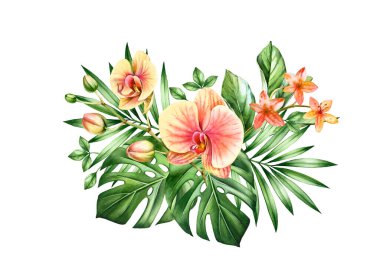 Suluboya Orkide buketi. Büyük sarı çiçekler, palmiye ağaçları, canavar yaprakları. Elle boyanmış tropikal arka plan. Beyazda izole edilmiş botanik çizimler