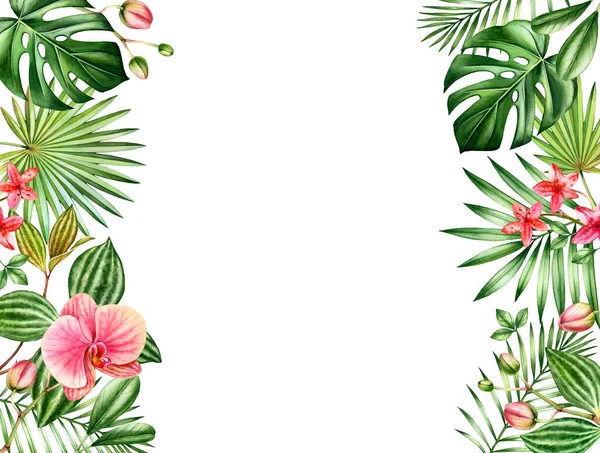 Watercolor floral background. Horizontal frame with place for text. Floral borders on the sides. Red orchid flowers and palm, monstera leaves. Botanical tropical illustrations isolated on white