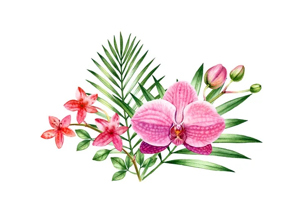 Bouquet d'orchidée aquarelle. Arrangement floral avec des fleurs rouges et roses et des feuilles de cocotier. Plantes exotiques colorées isolées sur blanc. Illustration botanique dessinée à la main — Photo