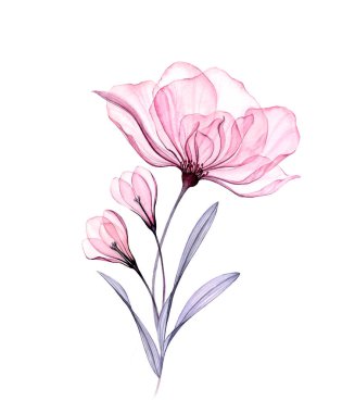 Suluboya gül buketi. Beyaz üzerine izole edilmiş şeffaf kır çiçekleri olan el yapımı sanat eserleri. Pastel renklerde soyut çiçekler. Kartlar için botanik illüstrasyon, düğün tasarımı