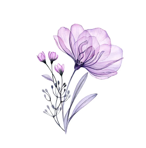 Aquarel Rose boeket. Handgeschilderd kunstwerk met transparante violette bloemen geïsoleerd op wit. Botanische illustratie voor kaarten, bruiloft ontwerp — Stockfoto