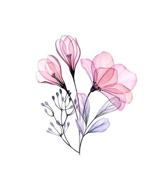 Bukiet akwarelowy Rose i Crocus. Ręcznie malowana grafika z przezroczystymi wiosennymi kwiatami na białym. Ilustracja botaniczna do kart, projekt weselny — Zdjęcie stockowe