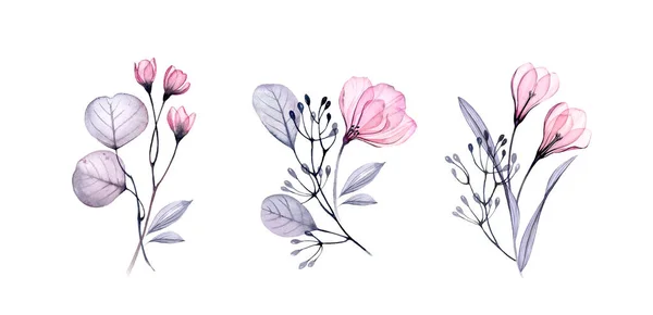 Aquarell Blumenset vorhanden. Transparente Blüten und Blätter. Sammlung von drei Sträußen isoliert auf weiß. Botanische Illustration für Hochzeitsdesign, Grußkarten — Stockfoto