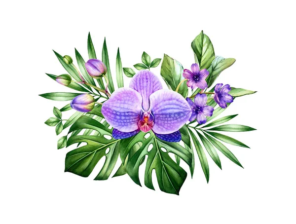 Akvarell orchidea csokor. Nagy lila virág és pálma, szörnylevelek. Kézzel festett virágos trópusi háttér. Botanikai illusztrációk elszigetelt fehér — Stock Fotó