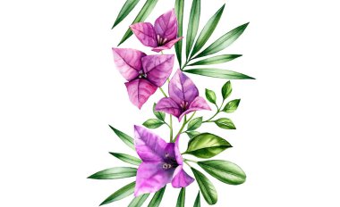 Çiçeksiz suluboya sınır. Bougainvillea çiçekleri, palmiye yaprakları tekrarlanıp duruyor. El boyası tropikal arka plan. Beyazda izole edilmiş botanik çizimler
