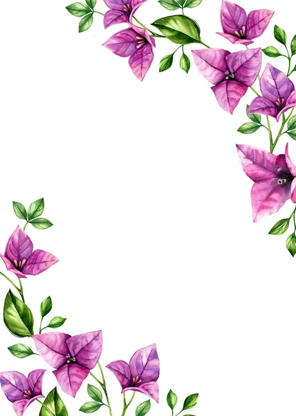 Акварельний квітковий фон. Вертикальний шаблон карт A5 і місце для тексту. Фіолетові квіти бугенвіля в кутах. Тропічні ботанічні ілюстрації ізольовані на білому — стокове фото