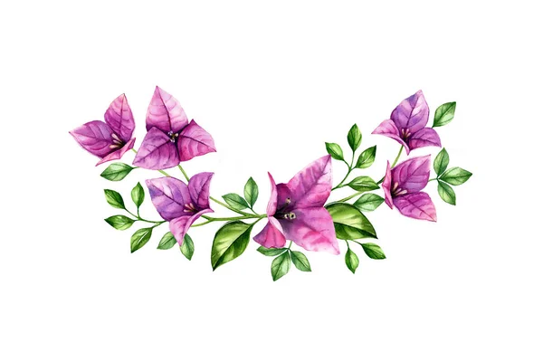 Aquarel tropisch boeket. Violet bougainvillea takken in krans arrangement. Met de hand geschilderde tropische achtergrond. Botanische illustraties geïsoleerd op wit — Stockfoto