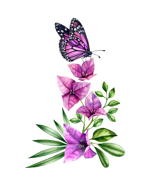 Akvarell bougainvillea gren med fjäril. Lila blommor, violett monark och palmblad. Handmålad blommig tropisk bukett. Botaniska illustrationer isolerade på vitt — Stockfoto