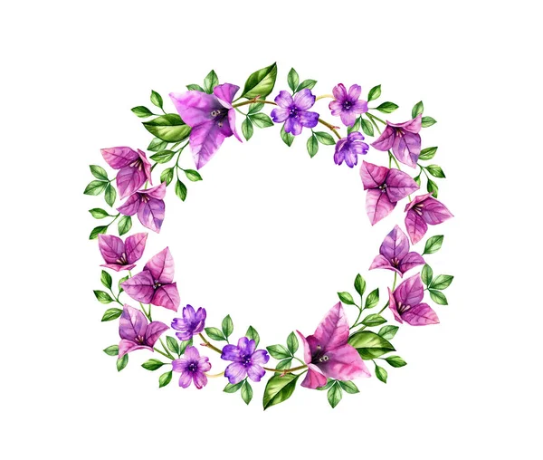 紫色のブーゲンビリアの花と水の色の花輪。手は、テキスト、ロゴ、結婚式のカードのための熱帯の背景を描いた。白地に隔離された植物図 — ストック写真