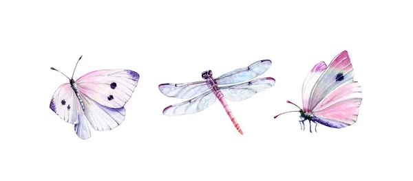 水彩斑斓的蜻蜓和白蝴蝶.现实的昆虫画孤立在白色上.详细的翅膀和粉红的身体。手绘夏季插图集 — 图库照片