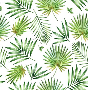 Suluboya tropikal, pürüzsüz desen. Egzotik palmiye, yelpaze, beyaz hindistan cevizi yaprakları. Egzotik yapraklar. Düğün, yüzey, tekstil, duvar kağıdı tasarımı için botanik el çizimi