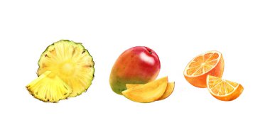 Suluboya portakal, mango, ananas meyvesi. Gerçekçi botanik suluboya çiçek seti. Tam ve yarım dilim turunçgil. Elle çizilmiş egzotik gıda tasarımı koleksiyonu