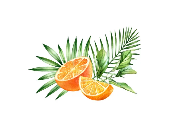 Akwarelowe owoce pomarańczowe. Tropikalny bukiet z soczystymi owocami i liśćmi palmy. Ręcznie rysowane ilustracje botaniczne do projektowania etykiet żywności — Zdjęcie stockowe