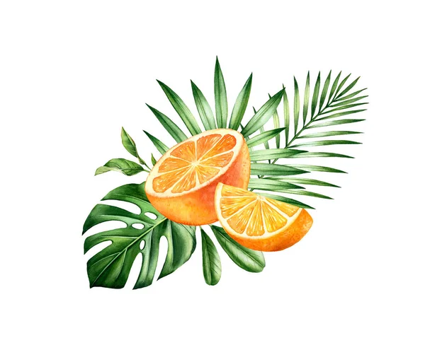 Akwarela pomarańczowy owoc na liść potwór. Bukiet tropikalny z plasterkami owoców i liści palmowych. Realistyczne zilustrowanie rysowane ręcznie przez botaniczne — Zdjęcie stockowe