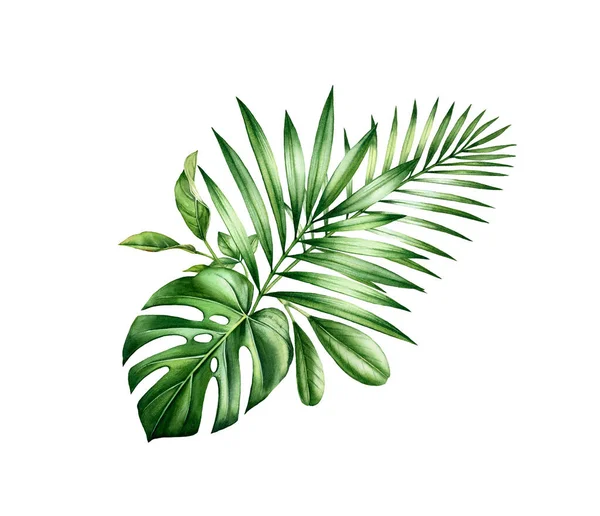Bouquet tropical aquarelle. Arrangement avec la verdure de la jungle. Feuilles exotiques de palmier, monstère, isolées sur blanc. Illustration botanique dessinée à la main — Photo