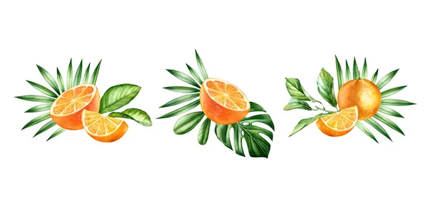 Akwarelowe owoce pomarańczowe. Zestaw z trzema przygotowaniami. Bukiety tropikalne z owocami i liśćmi palmowymi. Botaniczne ręcznie rysowane ilustracje izolowane na białym — Zdjęcie stockowe