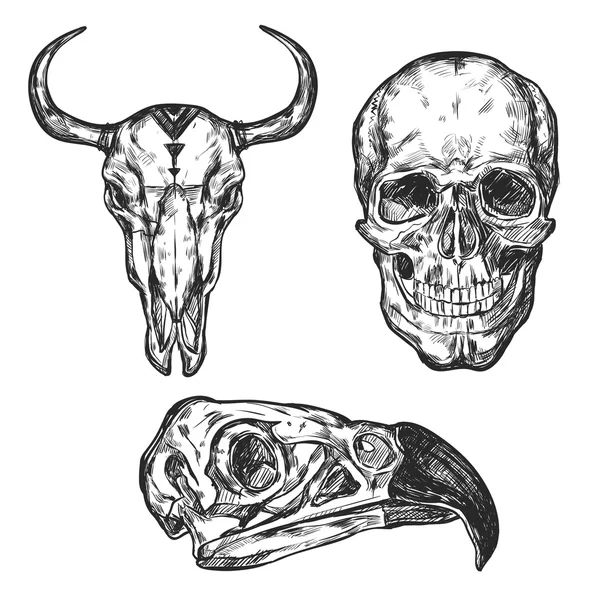 Ensemble d'icônes crâne — Image vectorielle