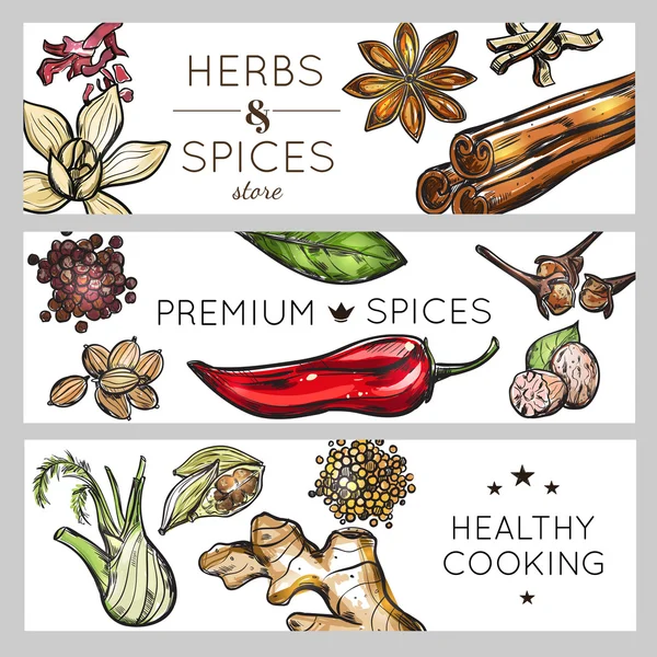 Spice en kruid banner set — Stockvector