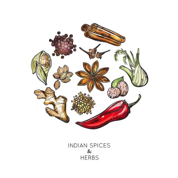 Kompozycja zioła indyjskie przyprawy — Wektor stockowy