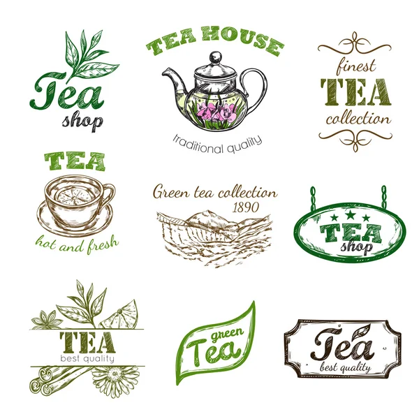 Logotipo de té bosquejo conjunto — Vector de stock