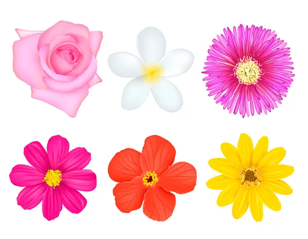 Geïsoleerde kleurrijke bloemen Set — Stockvector