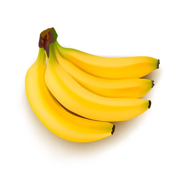 Ripe Bunch Of Bananas yang realistis - Stok Vektor