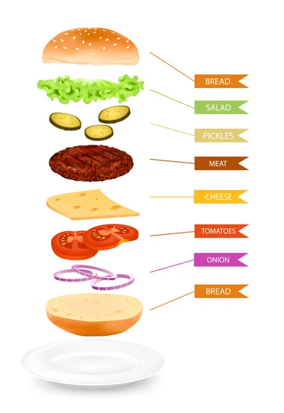 Infografías realistas de las capas de hamburguesa — Archivo Imágenes Vectoriales