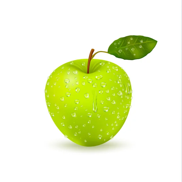Ізольоване мокре зелене яблуко з краплями води — стоковий вектор