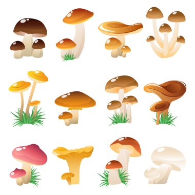 Orman Mushtooms Icon Set