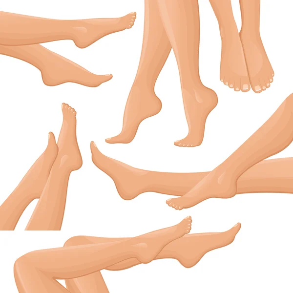 Kadın bacakları seti — Stok Vektör