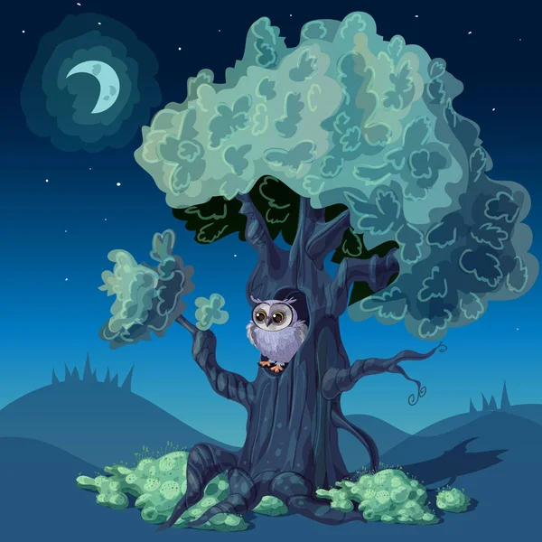 Conception de forêt nocturne — Image vectorielle