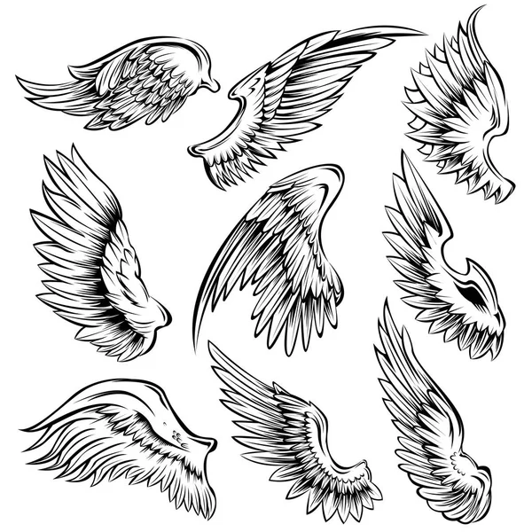 Vogel vleugels zwart wit Set — Stockvector