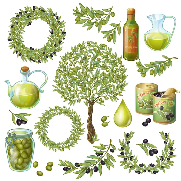 Conjunto de elementos orgánicos de oliva — Archivo Imágenes Vectoriales