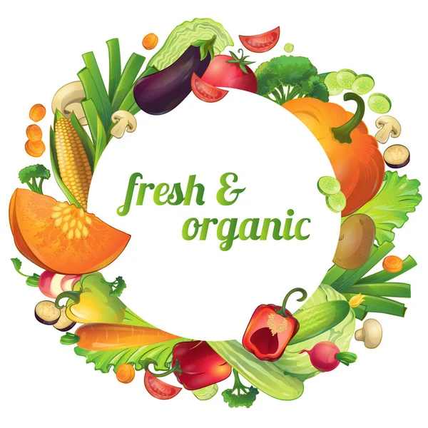 Composição redonda de vegetais orgânicos — Vetor de Stock