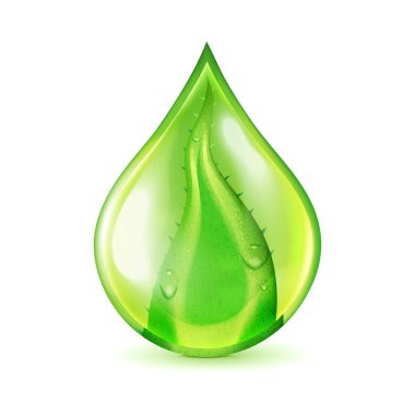 Aloe yaprak Waterdrop illüstrasyon