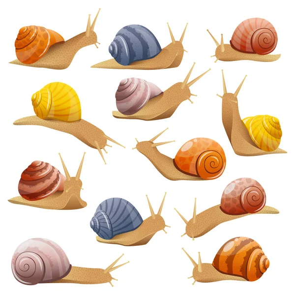 Ensemble d'escargots décoratifs — Image vectorielle