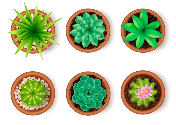 Set icona piante — Vettoriale Stock