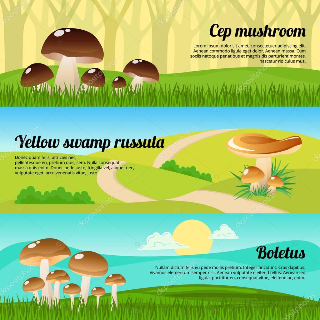 Forest Mushrooms Banners Set Stock Illustration by ©Mogil #130385768