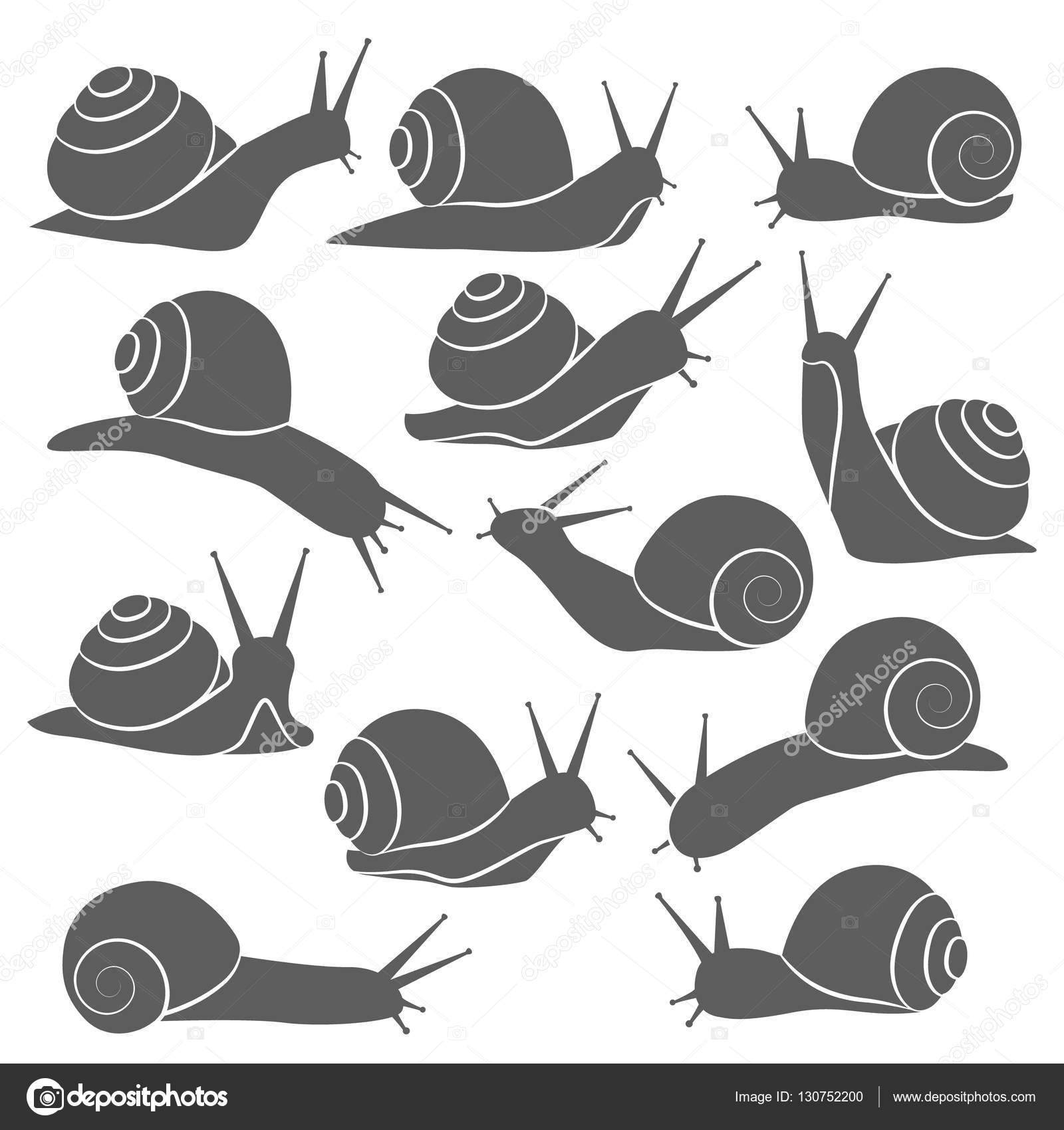 すべての動物の画像 新鮮な白黒 かたつむり イラスト すべての動物の画像 新鮮な白黒 かたつむり イラスト