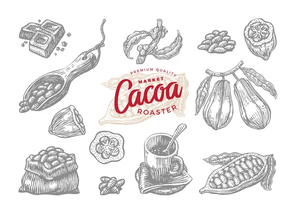 Grabado conjunto de elementos de cacao — Archivo Imágenes Vectoriales