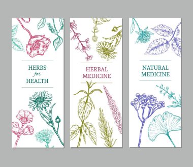 Kroki bitkisel dikey afiş