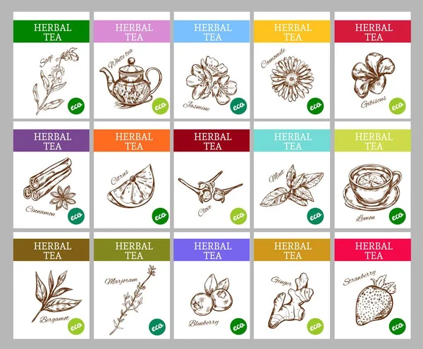 Bosquejo Herbal Tea Labels Collection — Archivo Imágenes Vectoriales