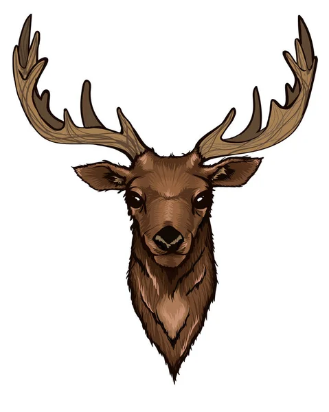 Wild Deer Head Portrait — Stock Vector