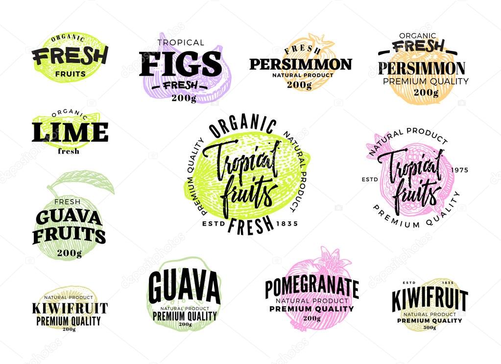 Exotic food labels set of different colored tropical fruits in sketch style isolated vector illustration