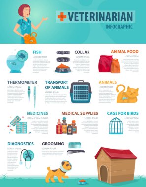 Renkli veteriner Infographic kavramı