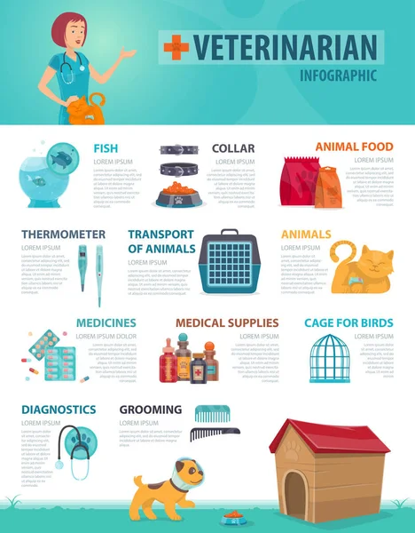 화려한 수 의사 Infographic 개념 — 스톡 벡터