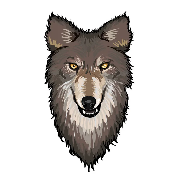 Cabeza de lobo gris — Vector de stock